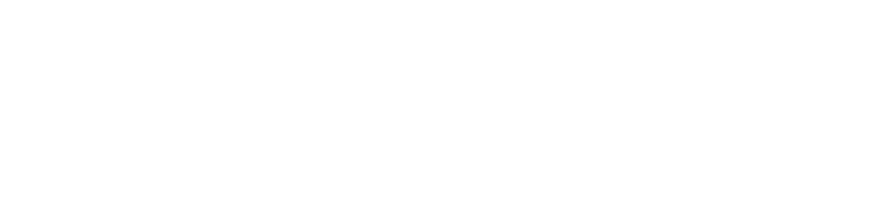 Lotus Projects